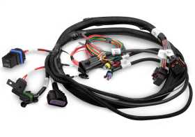 Terminator® EFI Wiring Harness 558-414